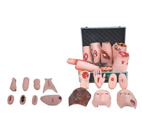 創(chuàng)傷護(hù)理評(píng)估模塊