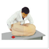 腰椎穿刺模擬人