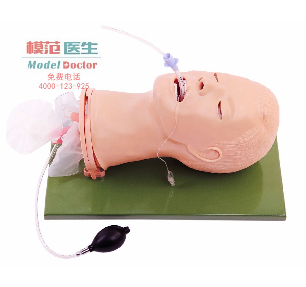 高級多功能氣道管理模型