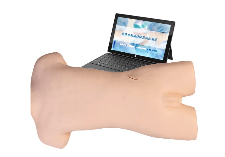 臨床穿刺高級仿真訓(xùn)練系統(tǒng)系統(tǒng)