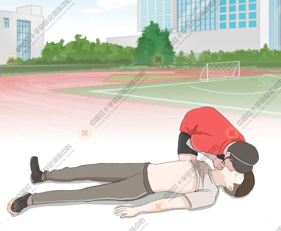 心肺復(fù)蘇模擬人